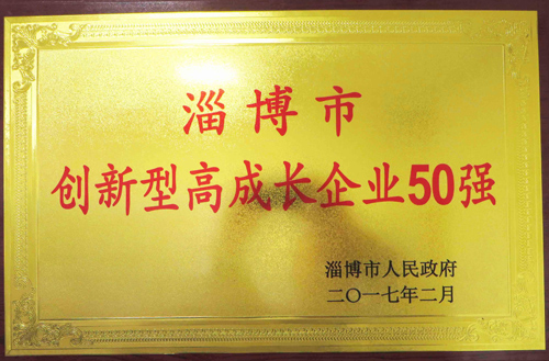 2017年創(chuàng)新型高成長(zhǎng)企業(yè)50強(qiáng)